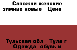 Сапожки женские зимние новые › Цена ­ 3 000 - Тульская обл., Тула г. Одежда, обувь и аксессуары » Женская одежда и обувь   . Тульская обл.,Тула г.